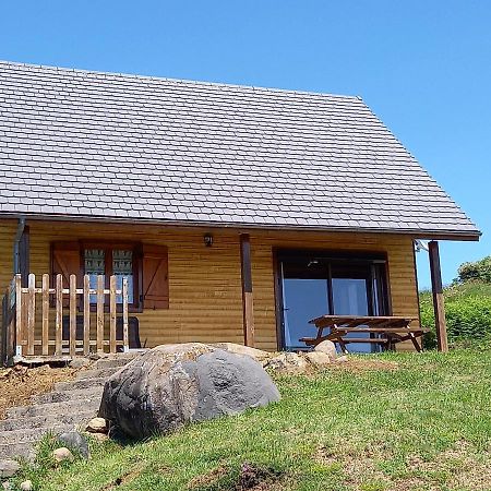 Saint-Genès-Champespe Chalet Sancy מראה חיצוני תמונה